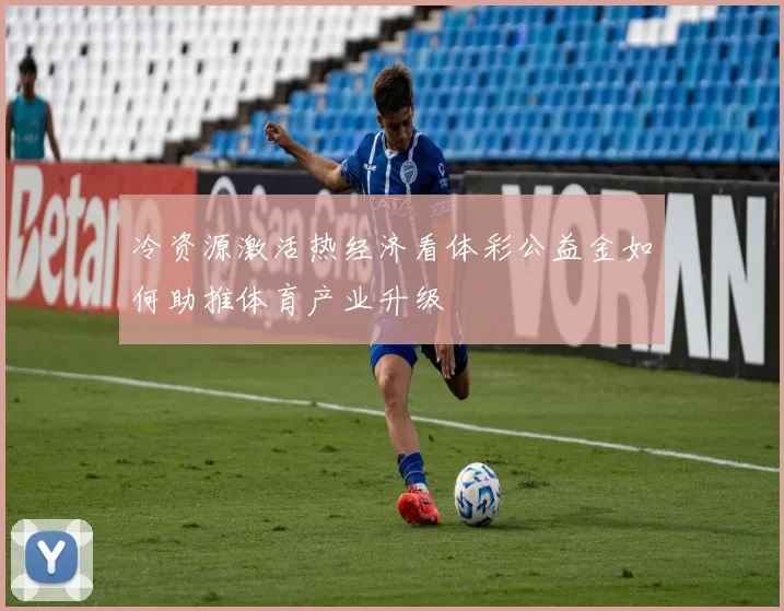 冷资源激活热经济看体彩公益金如何助推体育产业升级