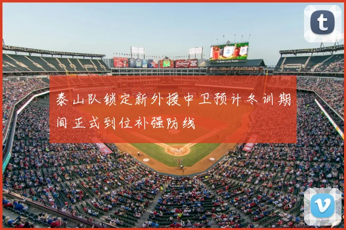 泰山队锁定新外援中卫预计冬训期间正式到位补强防线