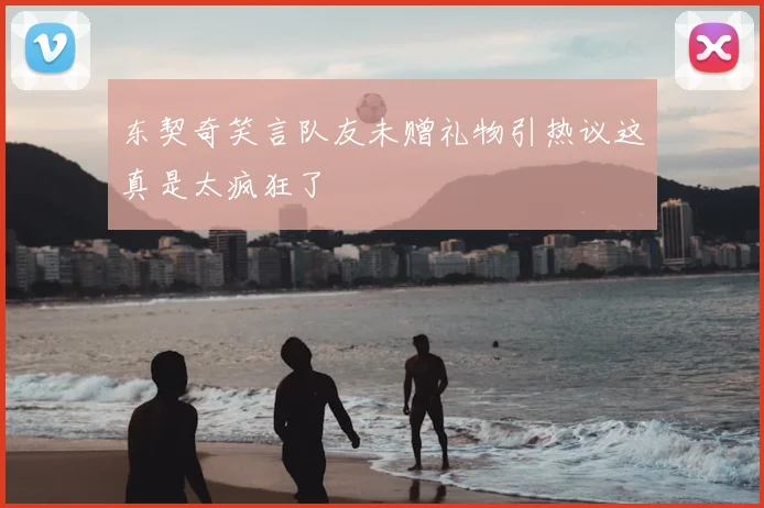 东契奇笑言队友未赠礼物引热议这真是太疯狂了
