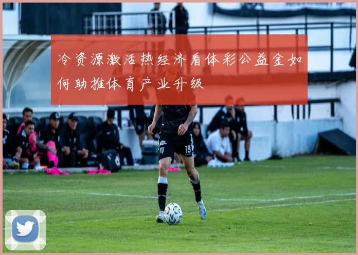 冷资源激活热经济看体彩公益金如何助推体育产业升级